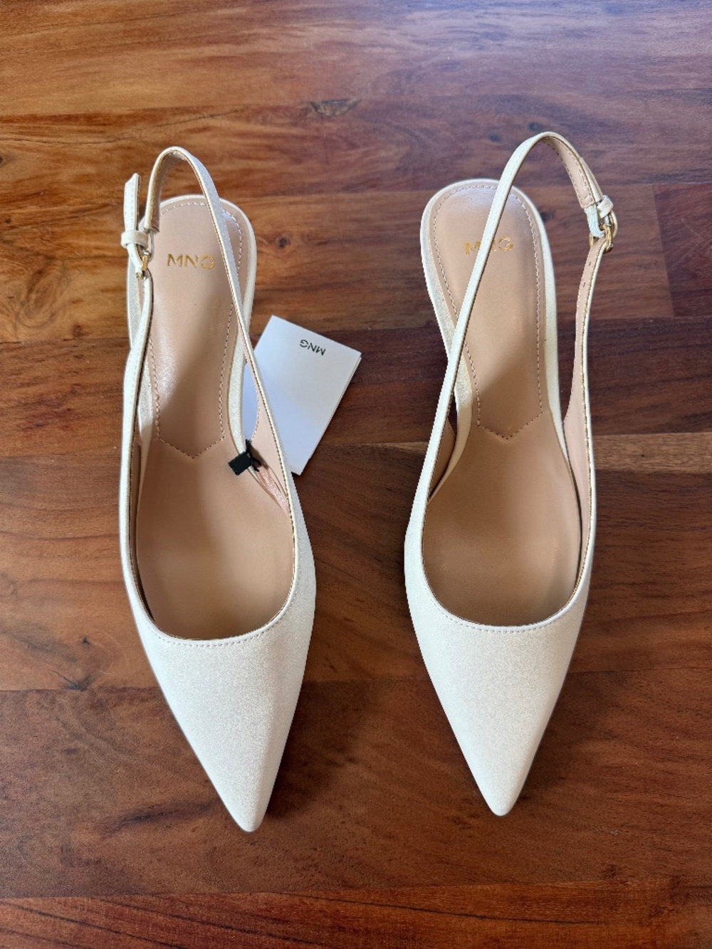 Mango Pointed Toe Slingbacks